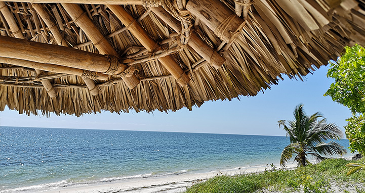Strand Sonnenschirm Aussicht am Chengeni Beach